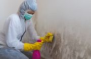 Mold Experts of Tucson - 28.07.21