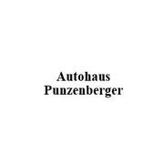 Autohaus Punzenberger GesmbH Seat VW Audi Cupra Opel - 04.02.20