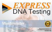 Express DNA Testing - 28.10.14