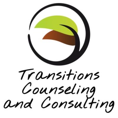 Transitions Counseling and Consulting - 13.02.24