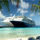 New Zealand Cruises Holidays Package- Lets Cruise Ltd  Photo