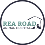 Rea Road Animal Hospital - 24.04.23