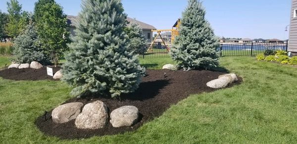 Arbor Hills Trees & Landscaping - 09.08.18