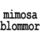 Mimosa Blommor / Interflora Photo