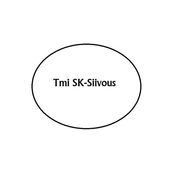 SK-Siivous - 18.04.20