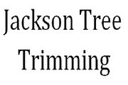Jackson Tree Trimming - 14.09.19