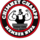 Chimney Champs LLC Photo