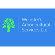 Webster's Arboricultural Services Ltd - 13.02.24