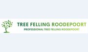 Tree Felling Roodepoort - 17.08.23