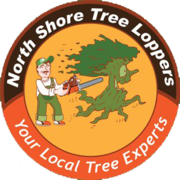 North Shore Tree Loppers - 11.03.21