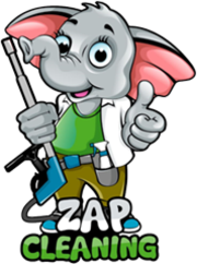 ZAP Cleaning - 30.07.19