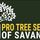 Pro Tree Service of Savannah - 24.05.19