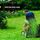 Lawn Love Lawn Care of St Louis - 08.07.16