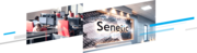Senetic AB - 30.01.17