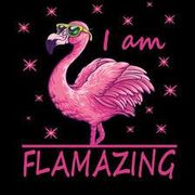 Flamingo Studio - 23.08.23