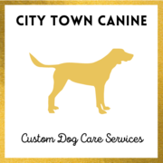 City Town Canine - 10.12.20