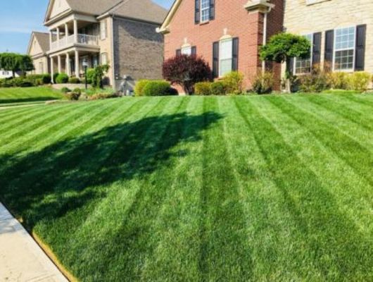 Sloans Lawncare LLC - 14.03.19