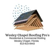 Wesley Chapel Roofing Pro's - 24.08.19
