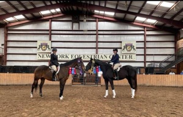New York Equestrian Center - 26.02.24